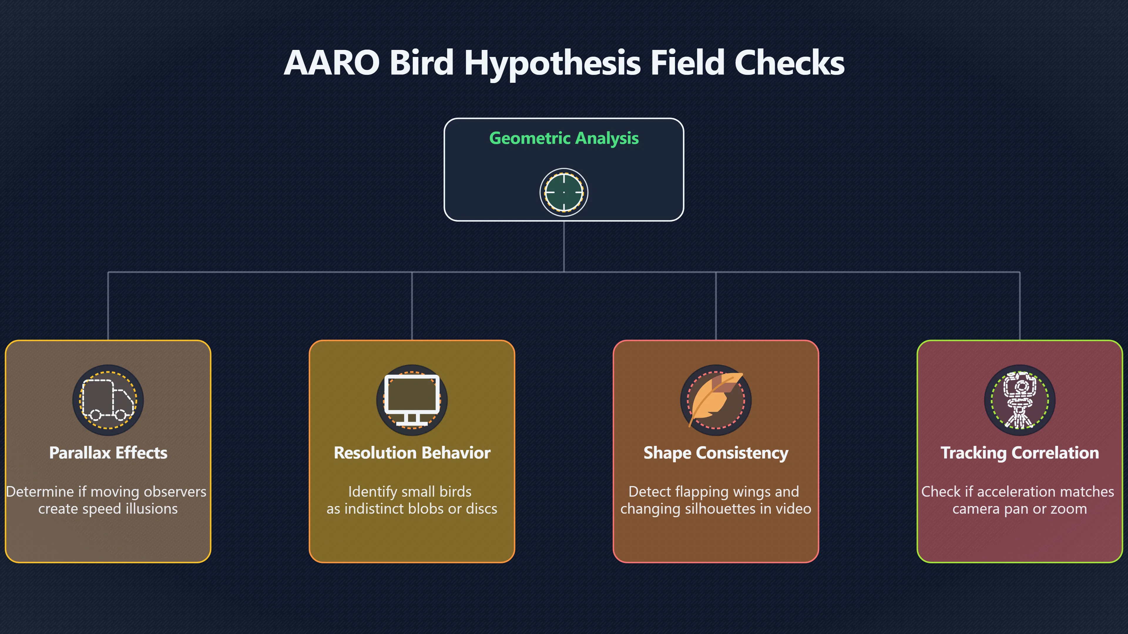 Overview image for How Investigators Test a Bird Explanation | ifos causes of UFO 3 ed 238 birds UFO reports